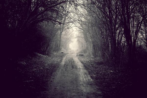 Foggy path af Henrik Hansen