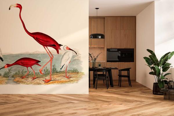 Flamingo birds af Illux