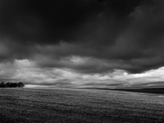 Fields af Jakob Evers