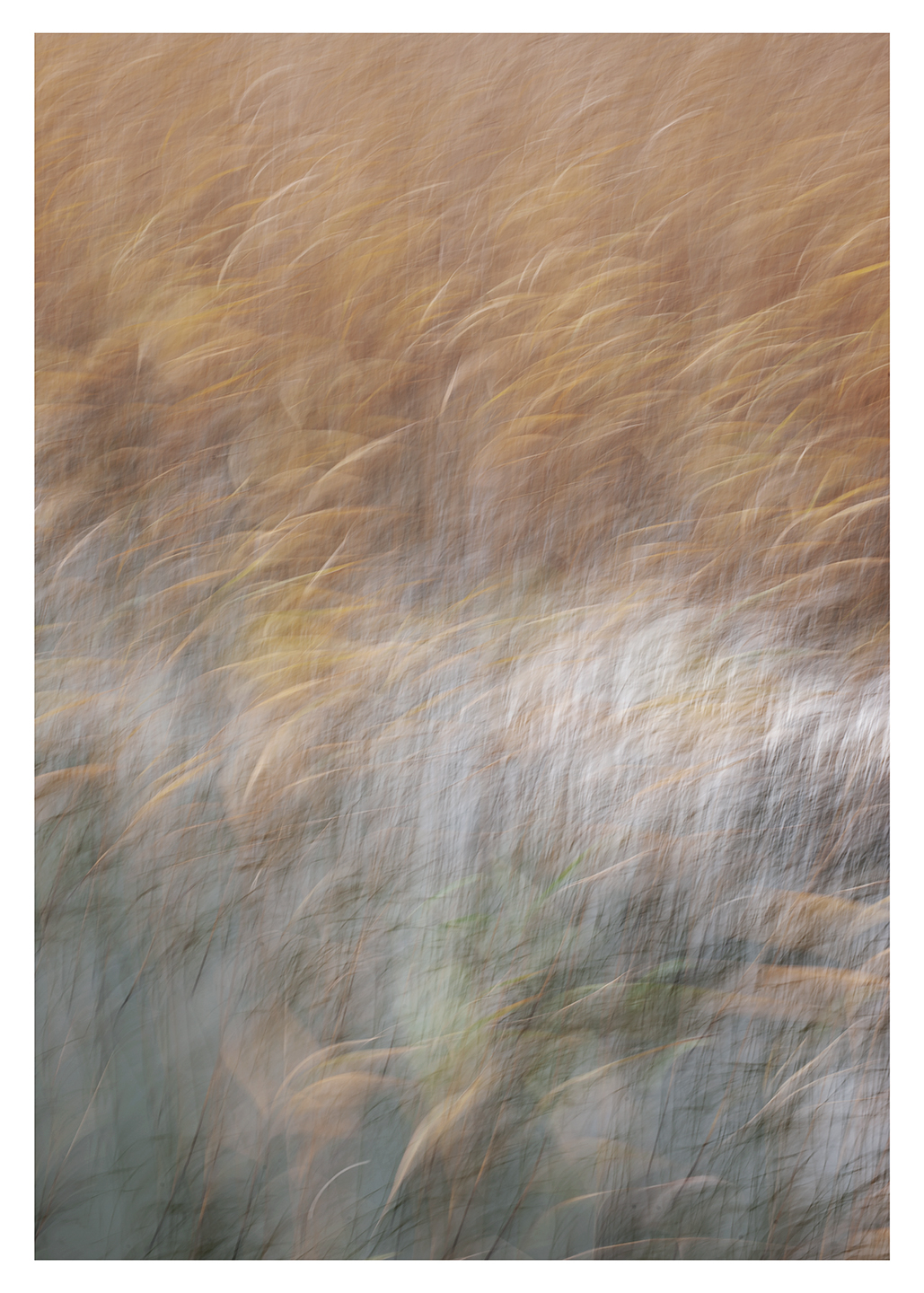 _K6H2488 af Morten Lundrup