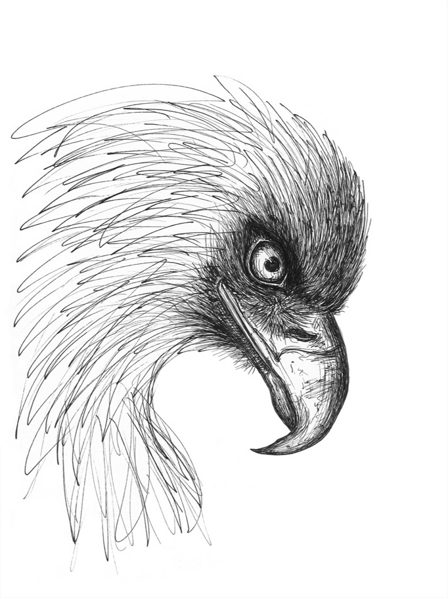 Ørnen Gorm af Tina Seirup Nielsen