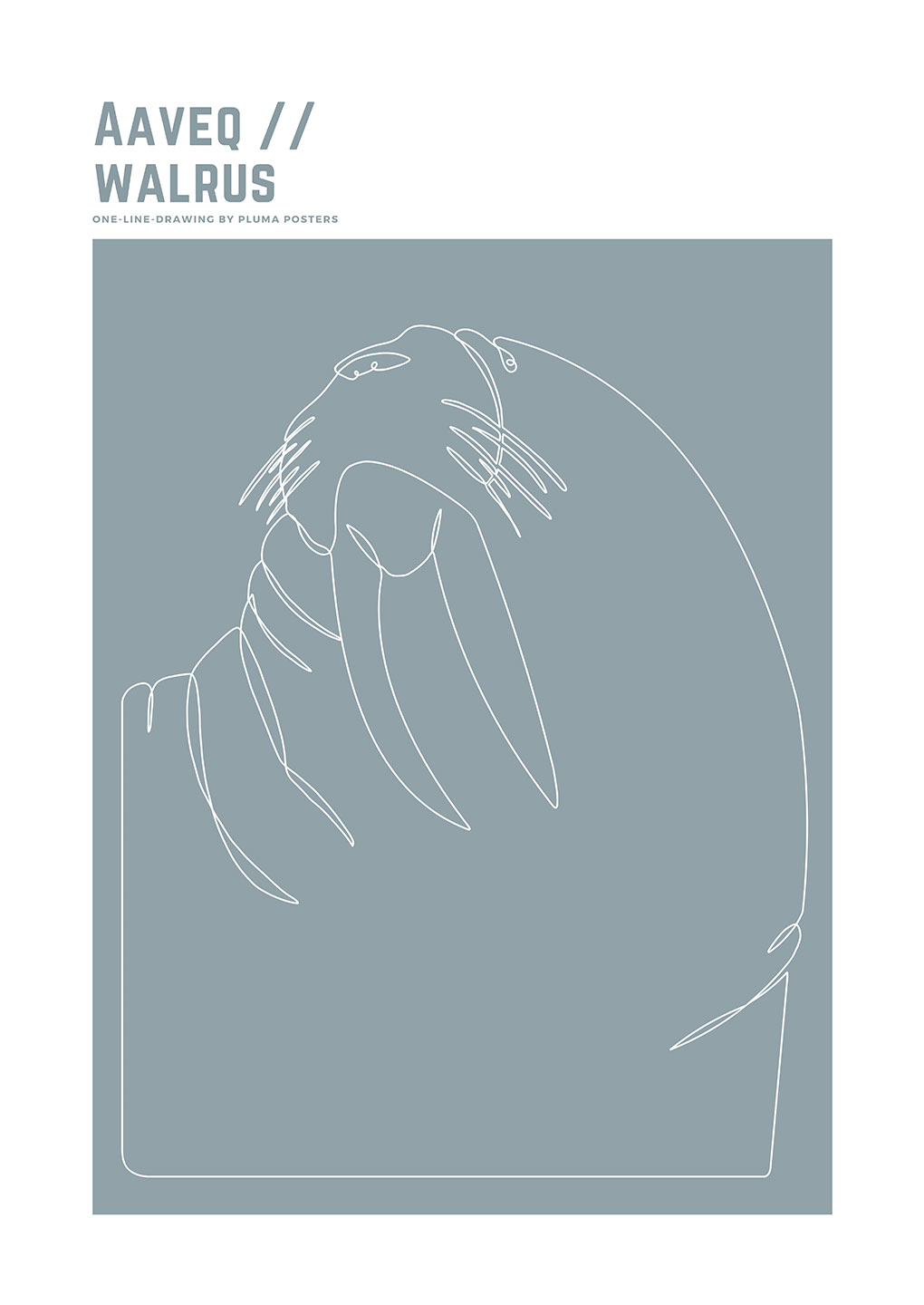 Aaveq Walrus Af Pluma Posters