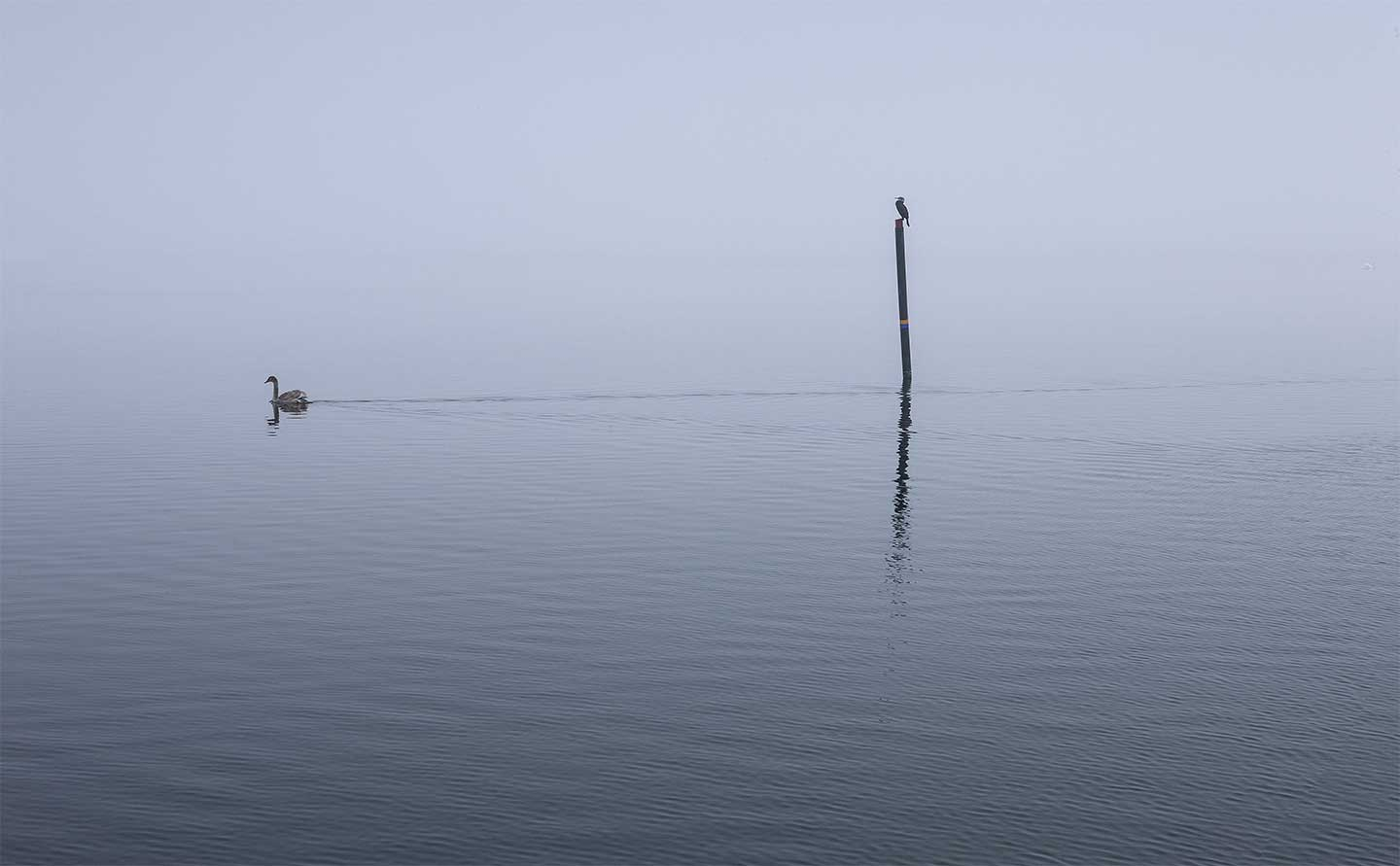Køb Glænø af Jørgen Bausager - Pris 189.00 kr. Køb Glænø af Jørgen Bausager - Pris 189.00 kr.