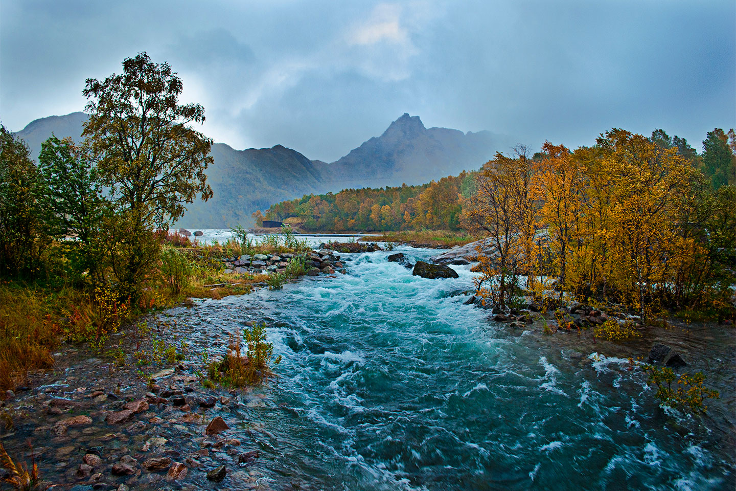 Billede af Autumn River af Frank Olsen