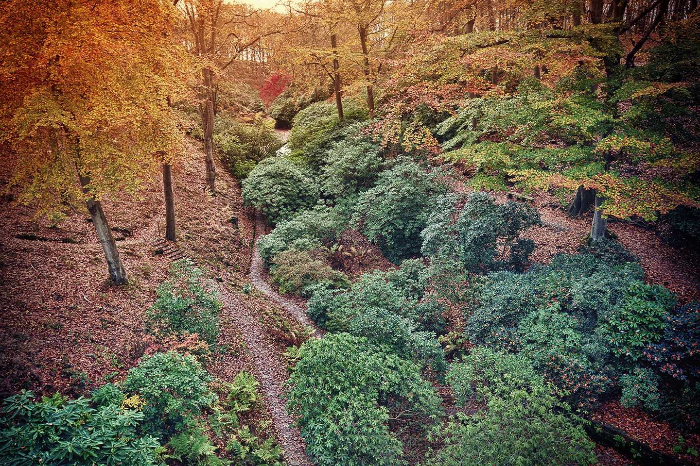Køb Autumn af Gustavo Orensztajn - Pris 189.00 kr. Køb Autumn af Gustavo Orensztajn - Pris 189.00 kr.