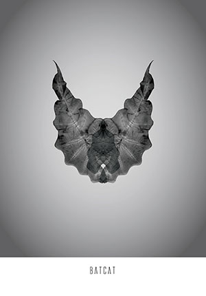 Image of Batcat af Ten Valleys