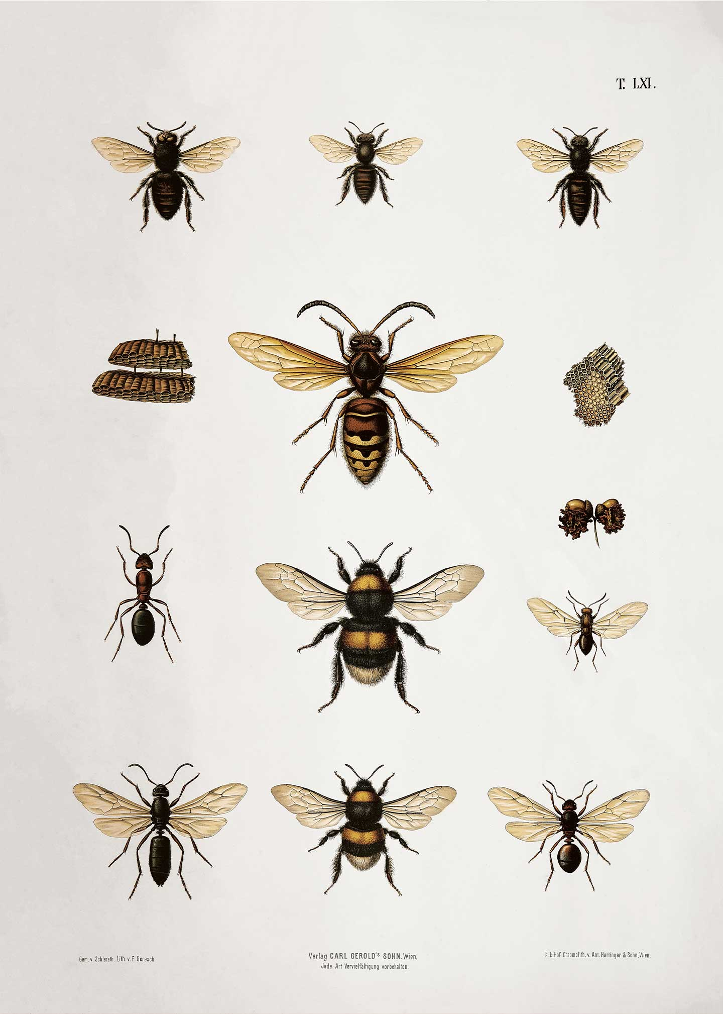 Køb Bees af Vintage Vista Designs - Pris 189.00 kr.