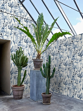 Image of Wild Plants Blue tapet af Designed for living