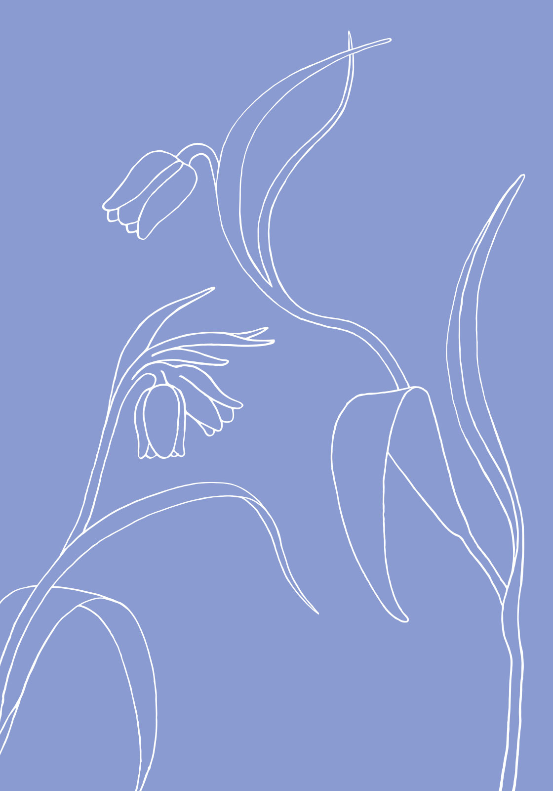 Køb Klokkeblomst lilla af Ten Valleys - Pris 189.00 kr. Køb Klokkeblomst lilla af Ten Valleys - Pris 189.00 kr.