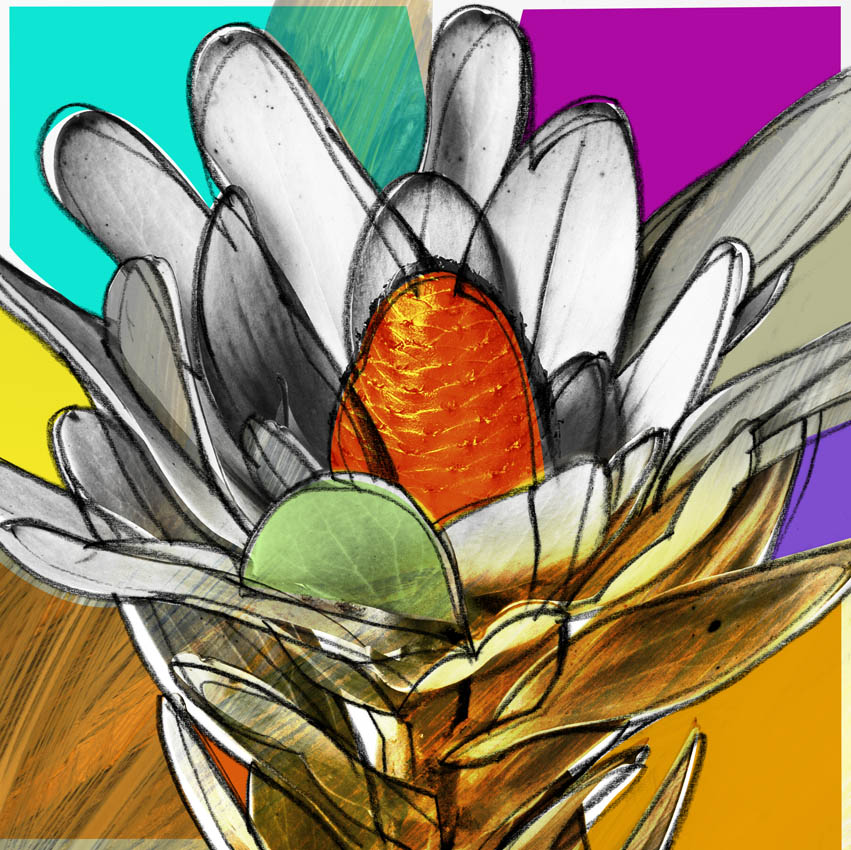 Image of Botany colour af Nils Henrik Pedersen
