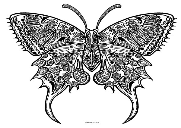 Image of Butterfly Fin af Ammar Keylani