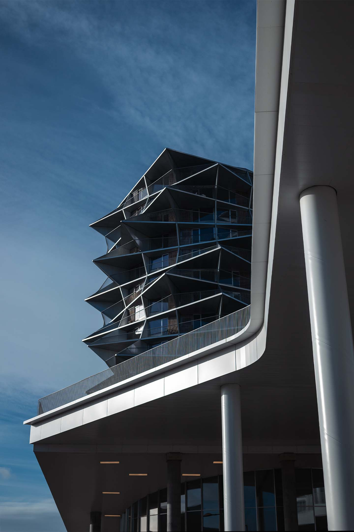 Kaktus af Casper Norrbohm