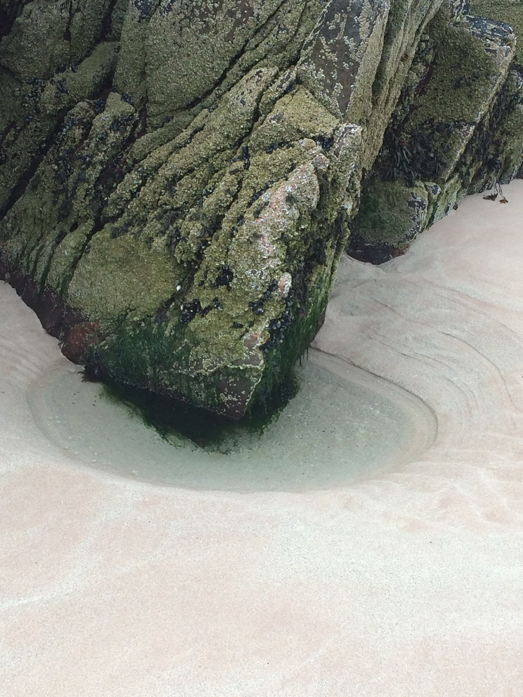 Køb Clear Water af Bytraberg - Pris 189.00 kr. Køb Clear Water af Bytraberg - Pris 189.00 kr.