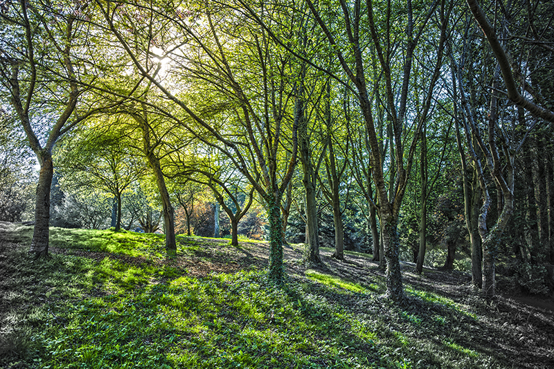 Image of Colours of Fishponds af Andreas Mørck