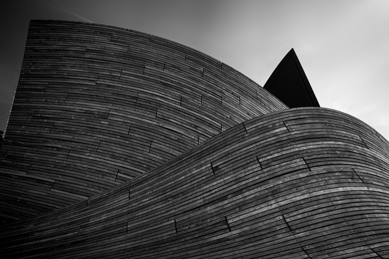 Image of Curves af Gustavo Orensztajn