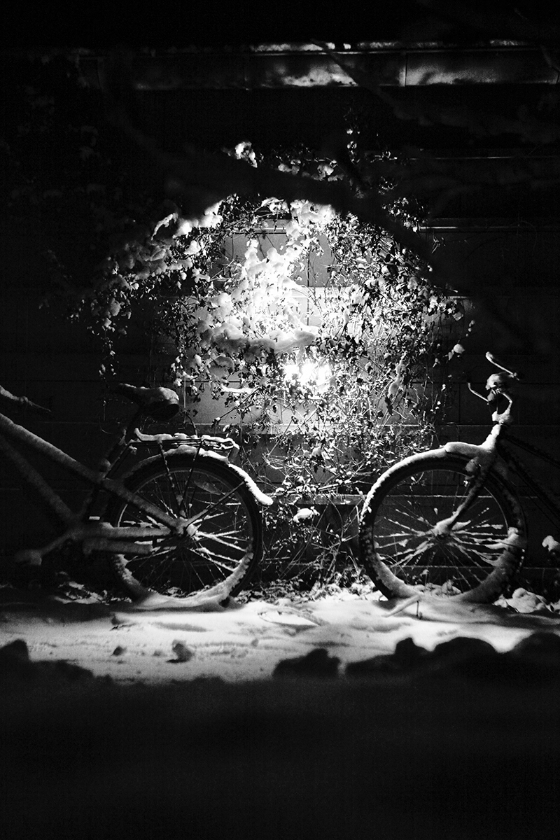 Billede af Cykler af Preben Stentoft