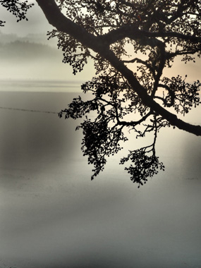 Køb Dawn af Bytraberg - Pris 189.00 kr. Køb Dawn af Bytraberg - Pris 189.00 kr.