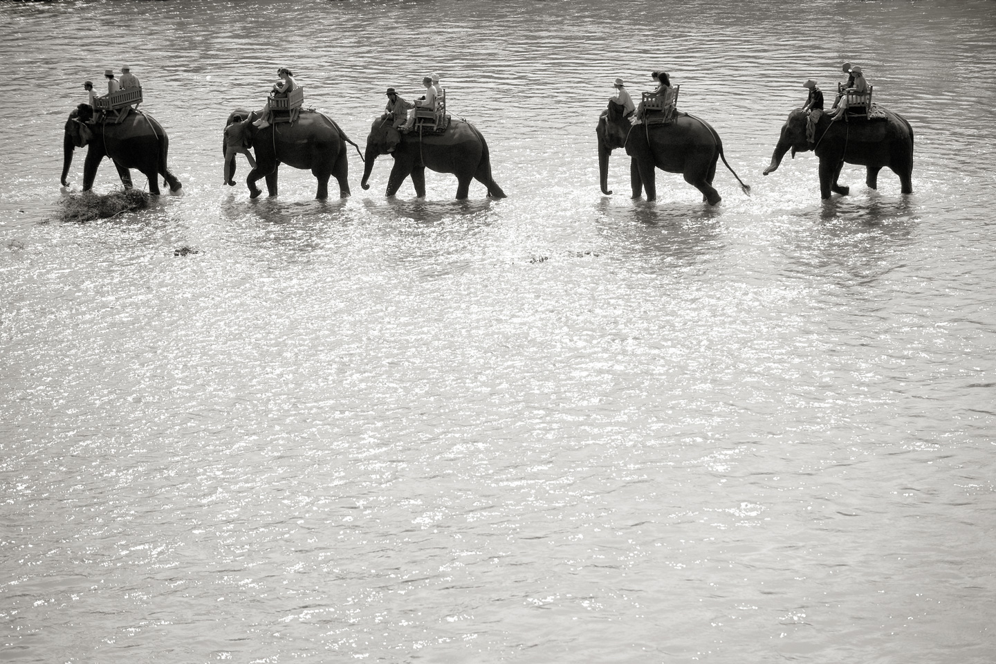 Billede af Elephant Ride af Julie Aucoin