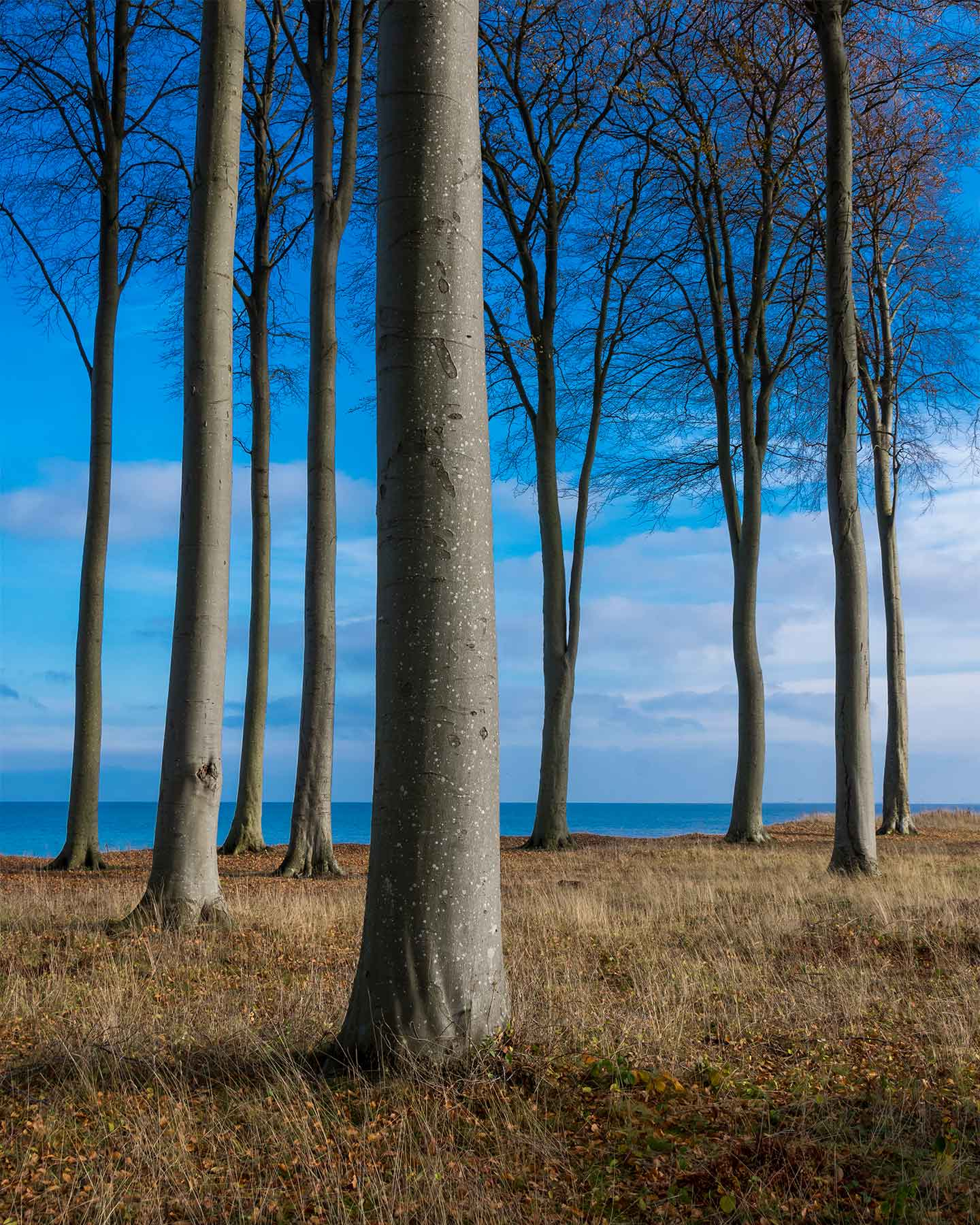 Køb Flyvesandet af Kenneth Bagge - Pris 250.00 kr.