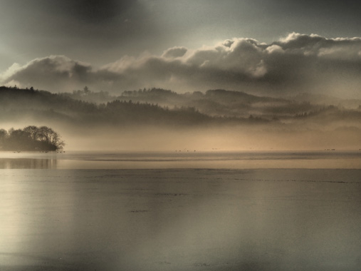 Køb Fog af Bytraberg - Pris 189.00 kr.