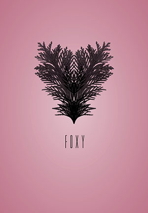 Image of Foxy af Ten Valleys