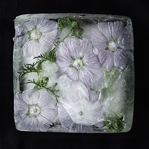 Image of Frozen 2 af Diana Lovring
