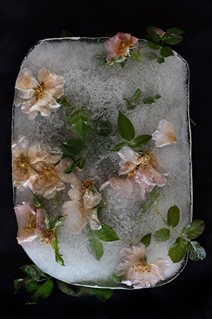 Image of Frozen 1 af Diana Lovring