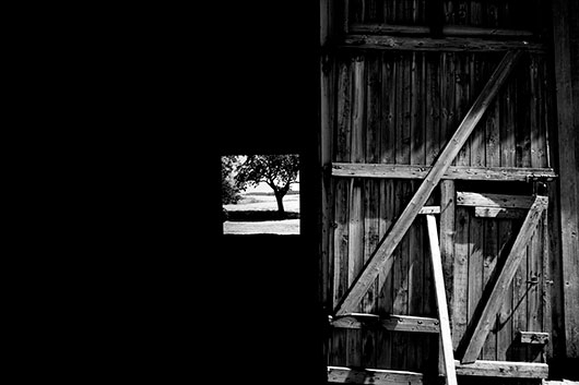 Image of Gatethrough af David Foli