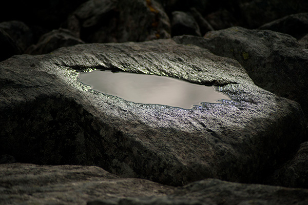 Image of H2O af Iguan Design