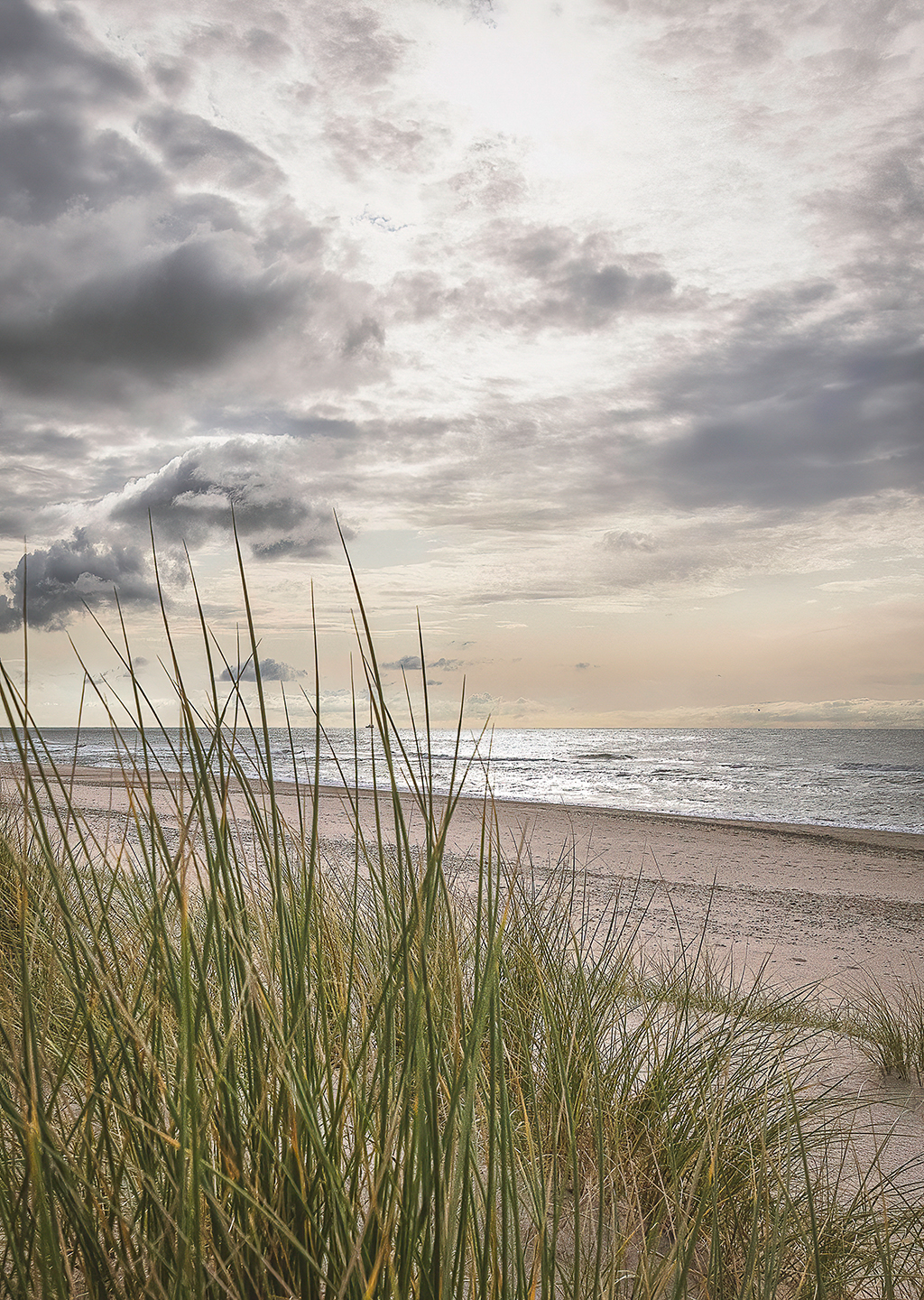 Køb Havet ved Lyngby af Torben Hedegaard - Pris 189.00 kr.