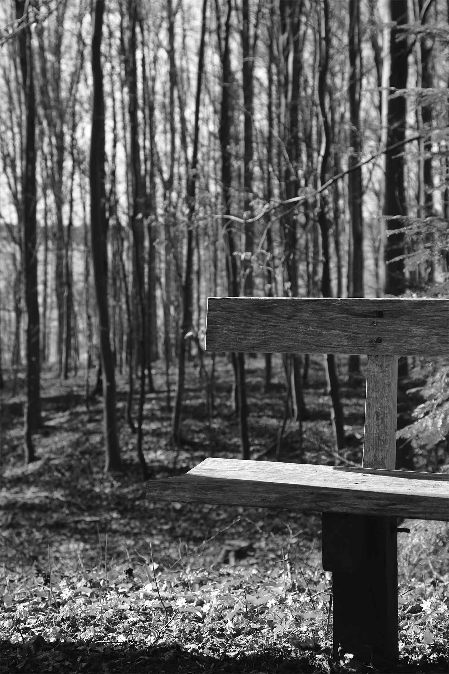 Køb Hvem vil du sidde med af Heart Notes - Pris 250.00 kr.