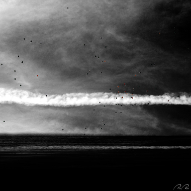 Image of Carried by the wind af Pia Roi