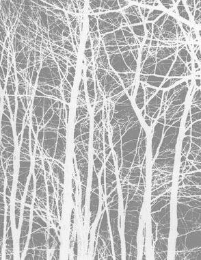 Image of Cherrytree grey af Kirsten Stigsgaard