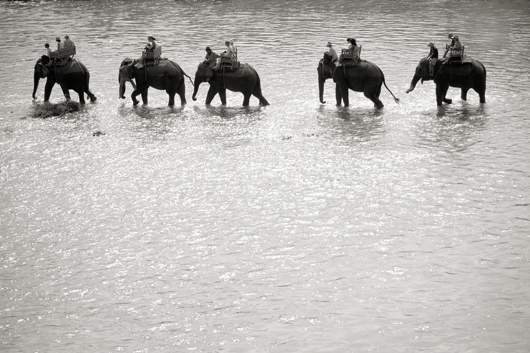 Image of Elephant Ride af Julie Aucoin