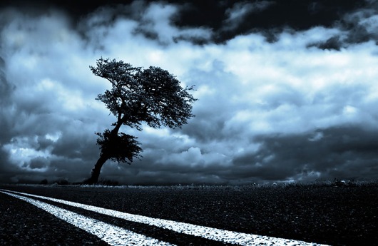 Image of In the middle of nowhere af Frederik Laugesen
