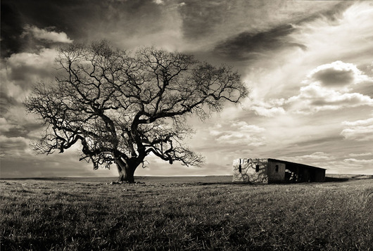 Image of In the shadow af Frederik Laugesen