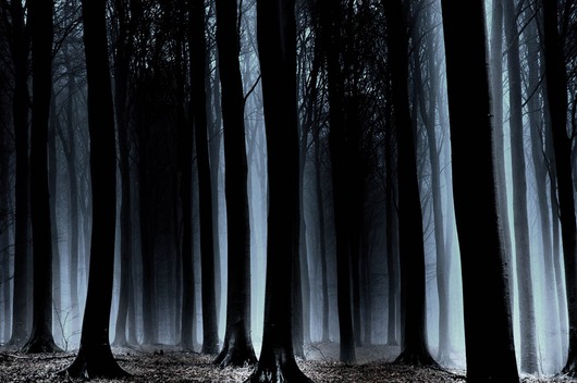 Image of Is there anybody out there af Frederik Laugesen