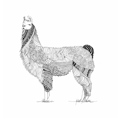 Image of Lama af Mads Hindhede