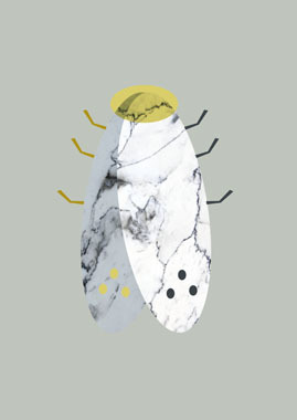 Image of Marbel moth af MyRo Graphics
