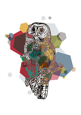 Image of Owl af Jakub Stodulski