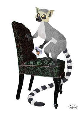 Image of Ring tailed lemur af ThomasWoody