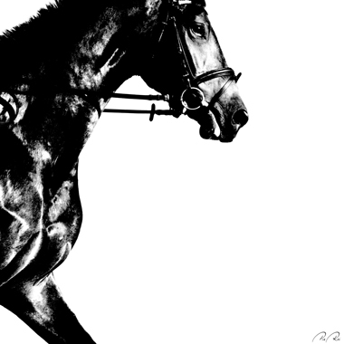 Image of Running horse af Pia Roi