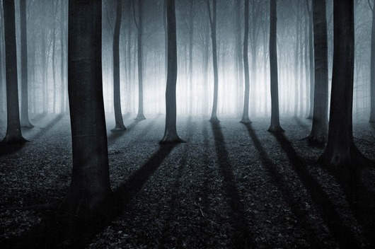 Image of Shining af Frederik Laugesen