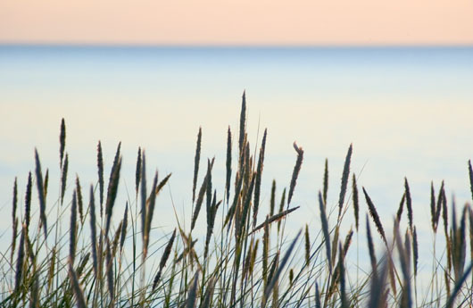 Image of Summer beach af Kirsten Stigsgaard