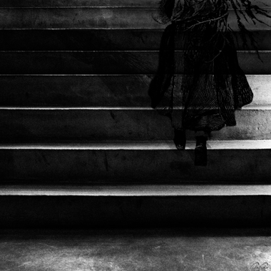 Image of Transparency af Pia Roi