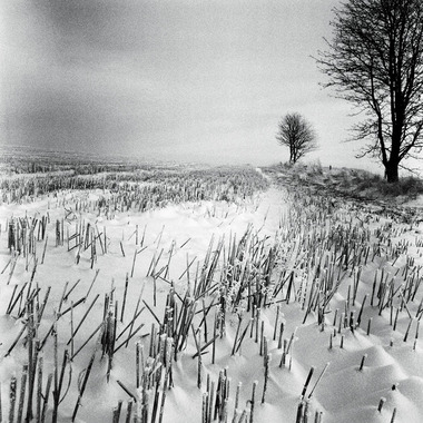 Image of Vinter af Ida Schmidt