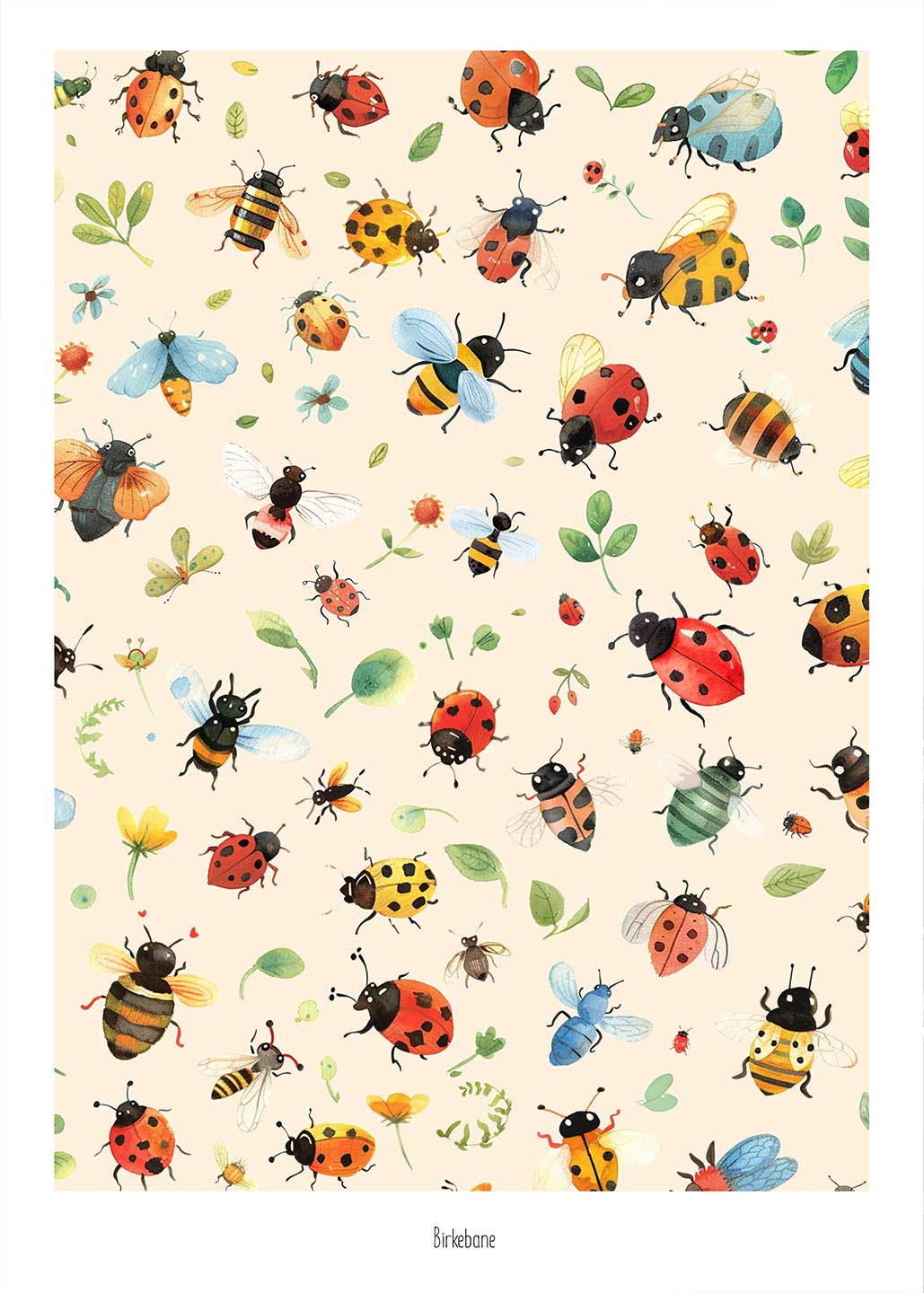 Køb Insekter af Birkebane - Pris 189.00 kr.