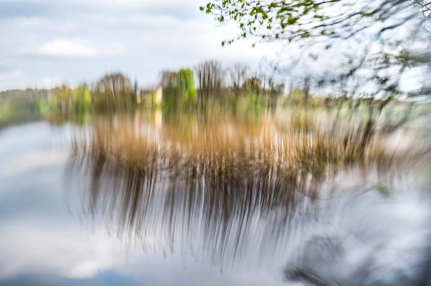 Dreaming World af Klint fotografi