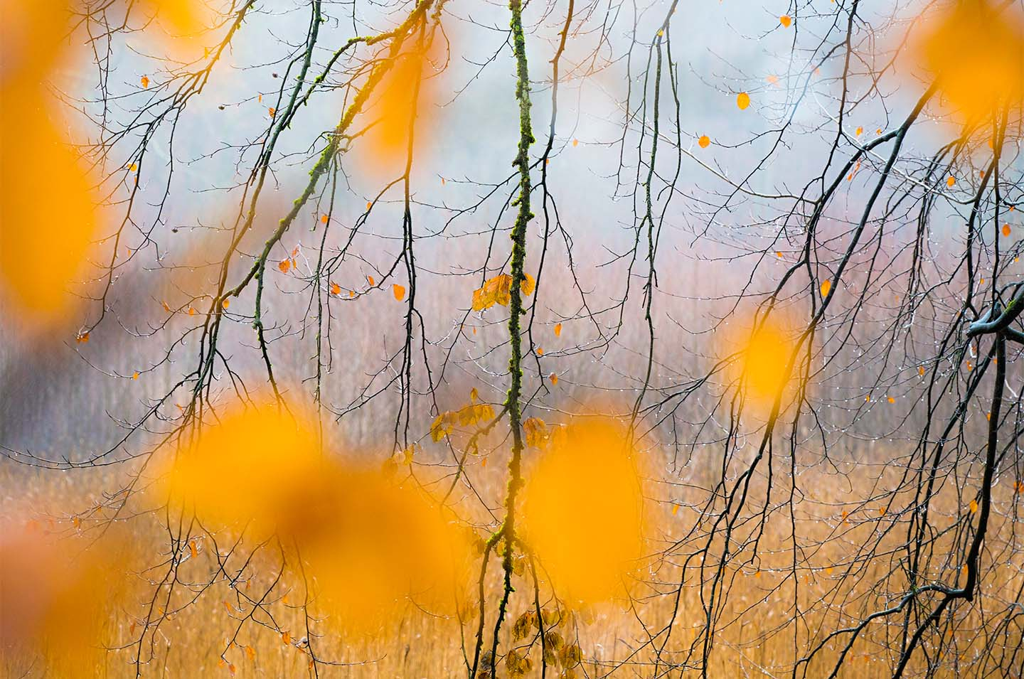 Light Points af Klint fotografi