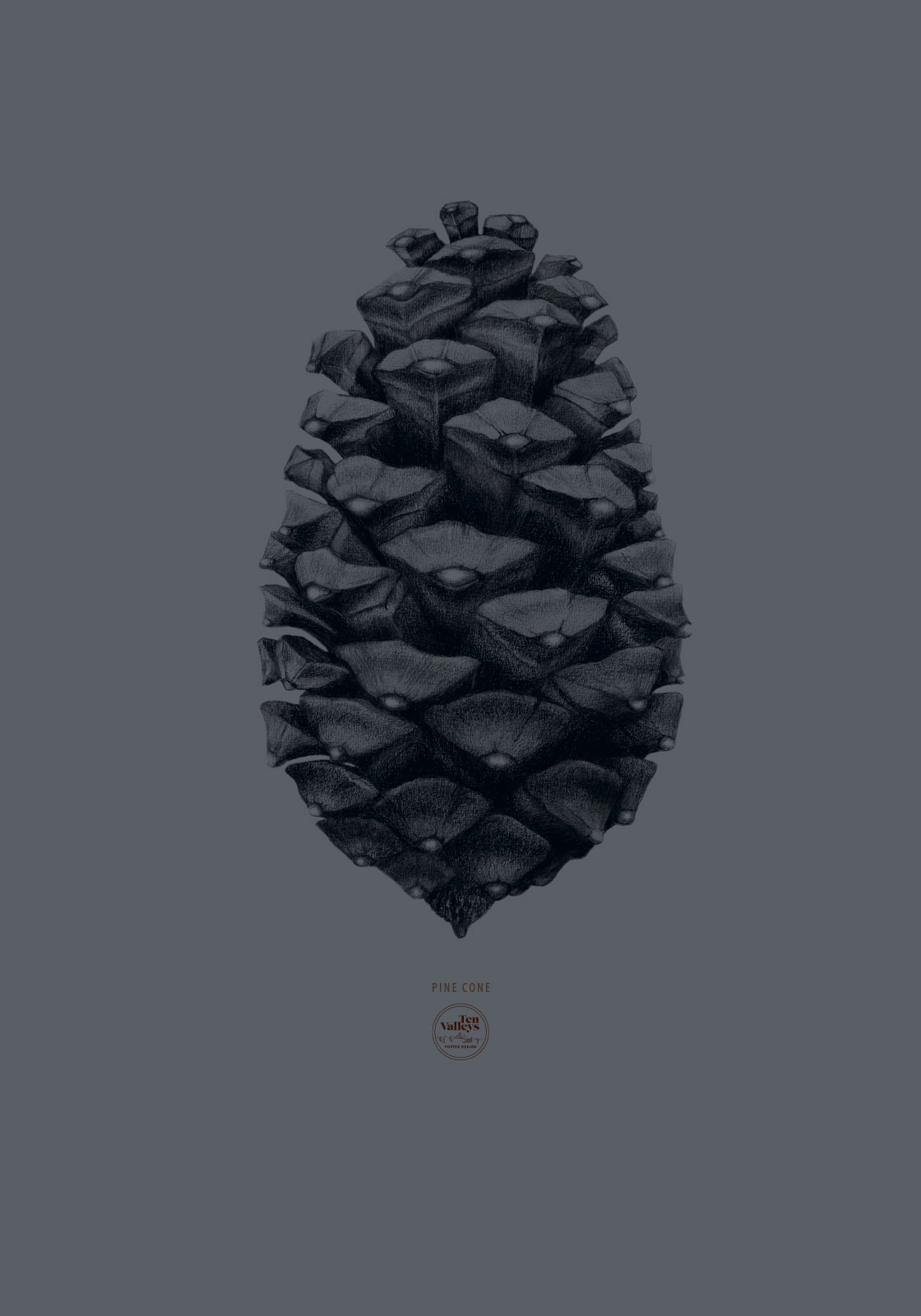 Køb Grå kogle af Ten Valleys - Pris 189.00 kr. Køb Grå kogle af Ten Valleys - Pris 189.00 kr.